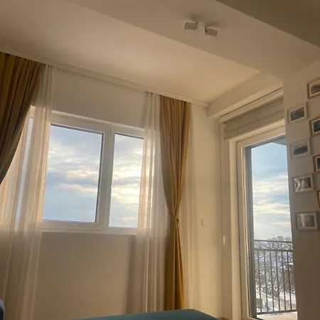 Odiva * ズラティボール