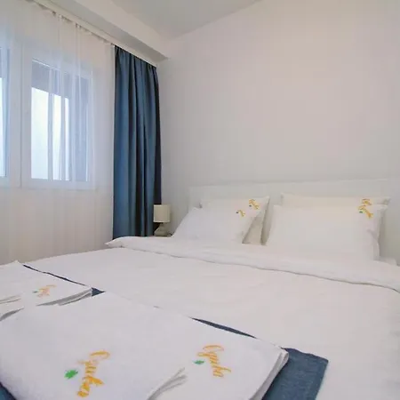 Odiva * ズラティボール